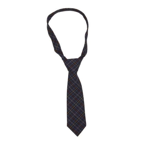 Collection school ties